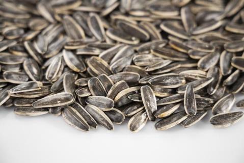 Sunflower seeds