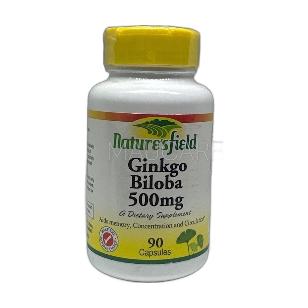 Naturesfield Ginkgo Biloba 500Mg Cap X 90